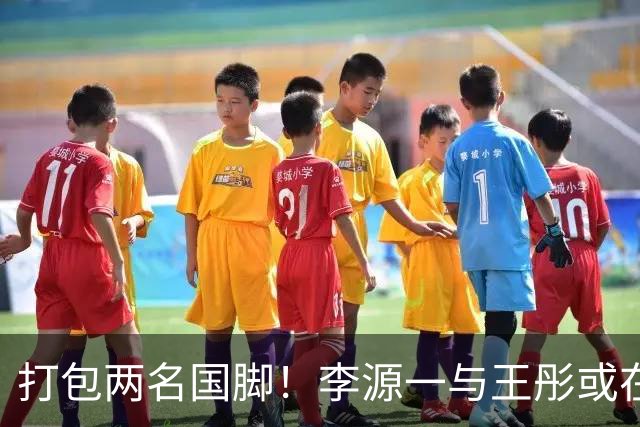 打包两名国脚！李源一与王彤或在夏窗加盟青岛西海岸